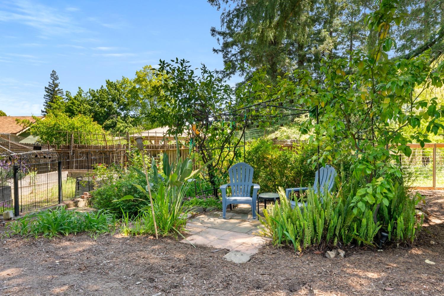 Detail Gallery Image 43 of 66 For 9512 Central Ave, Orangevale,  CA 95662 - 3 Beds | 2 Baths