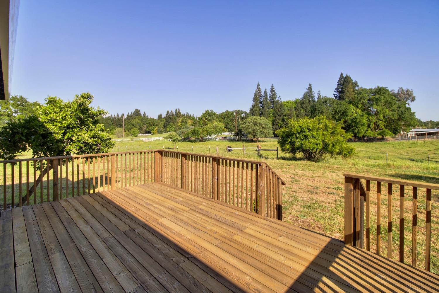 Detail Gallery Image 47 of 93 For 12730 Leo Ln, Wilton,  CA 95693 - 4 Beds | 4 Baths