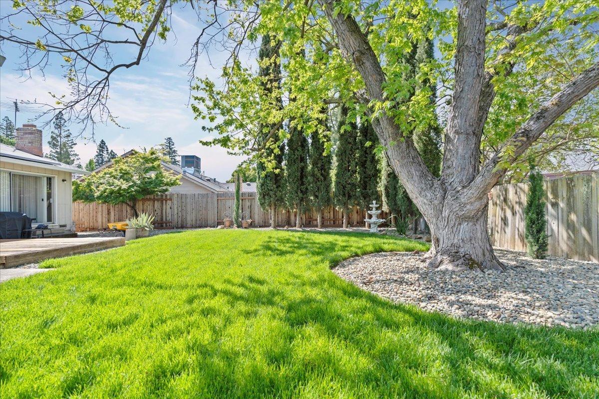 Root Avenue, Carmichael, California image 31