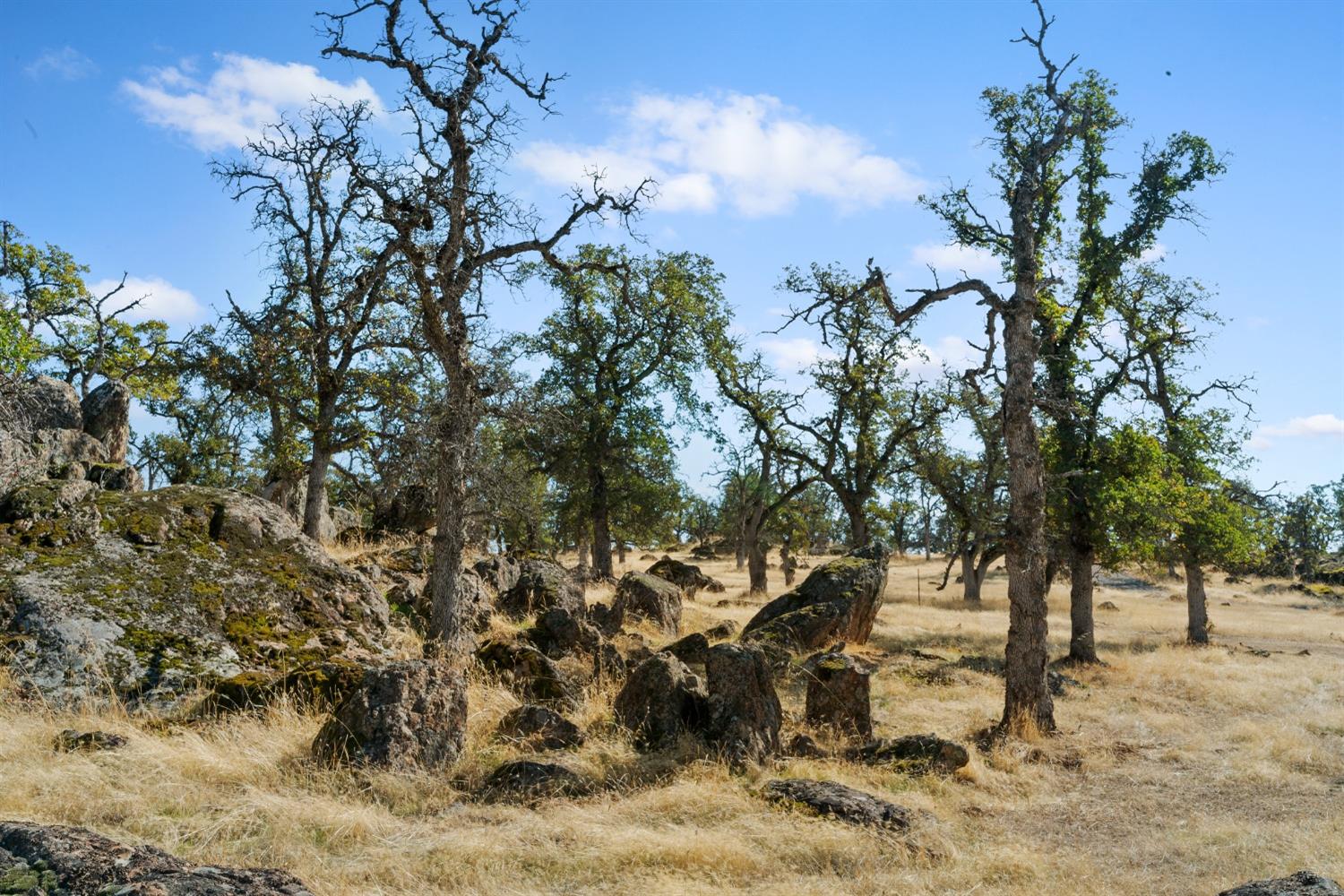 Hammonton Bluff Parcel 8, Smartsville, California image 41
