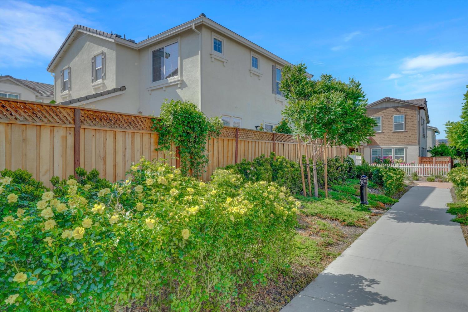 Detail Gallery Image 40 of 48 For 243 E Lawson Ave, Mountain House,  CA 95391 - 4 Beds | 3 Baths