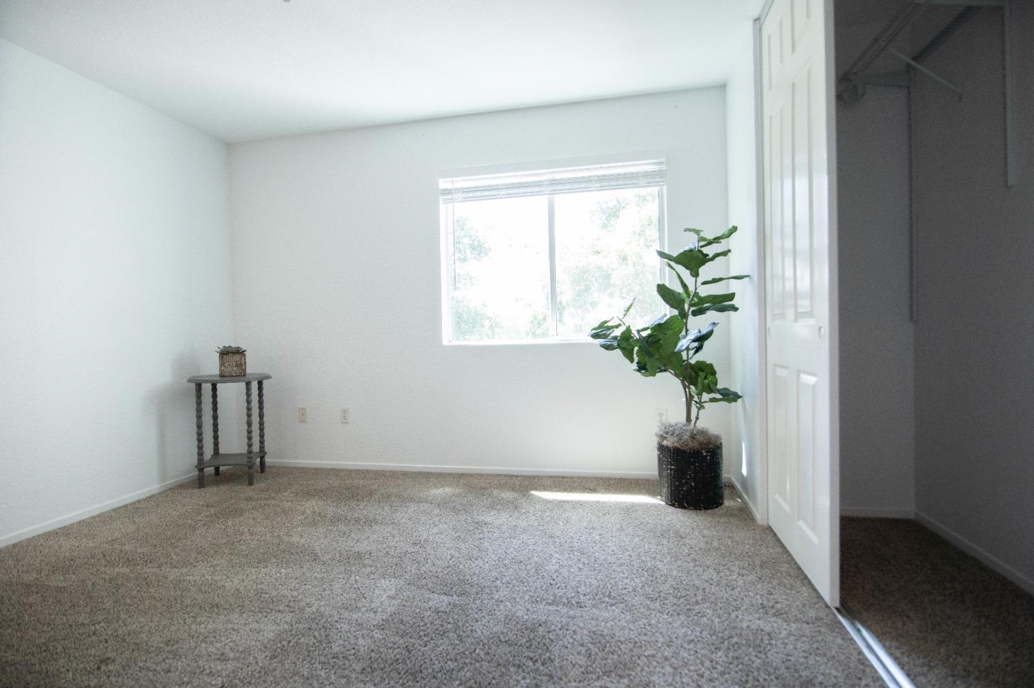 Photo #24: 225053685 Listing: Photo #24