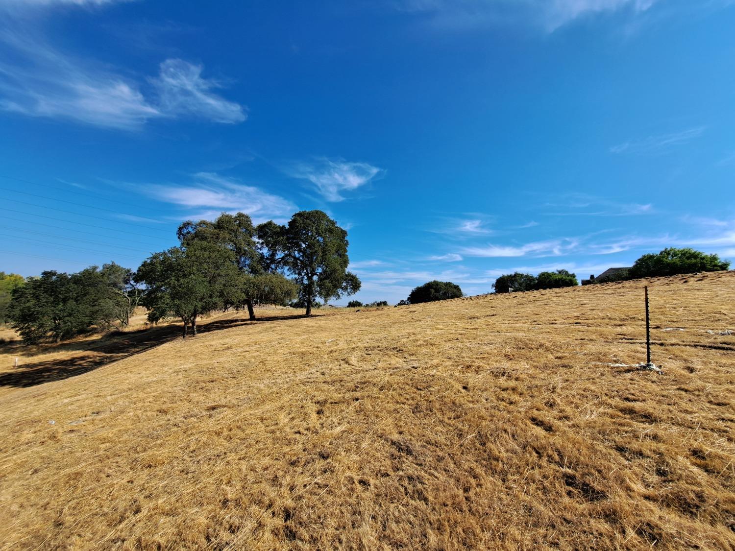 Sangiovese Drive, El Dorado Hills, California image 6