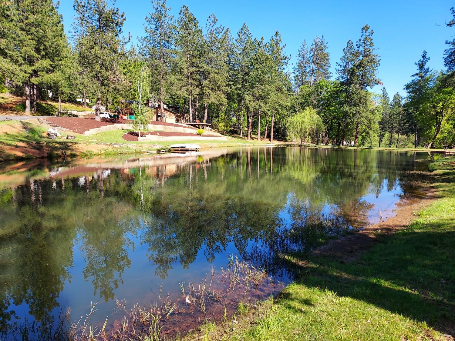 Detail Gallery Image 77 of 79 For 15135 Orchard Springs Rd, Grass Valley,  CA 95945 - 4 Beds | 4/1 Baths