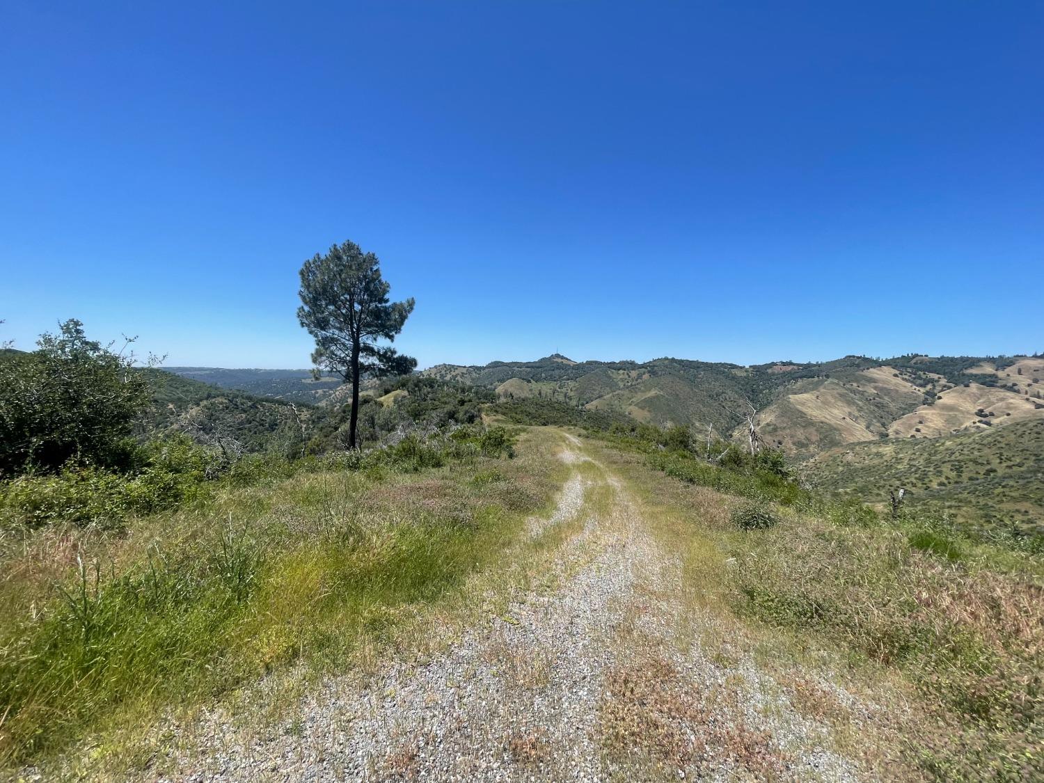 Montgomery Drive, Mokelumne Hill, California image 7
