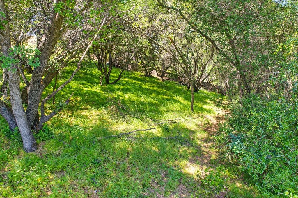 Bordeaux Drive, El Dorado Hills, California image 16