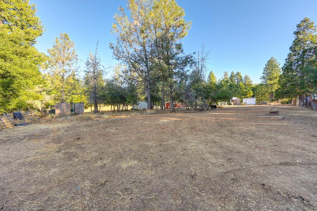 Shake Ridge Road, Volcano, California image 15