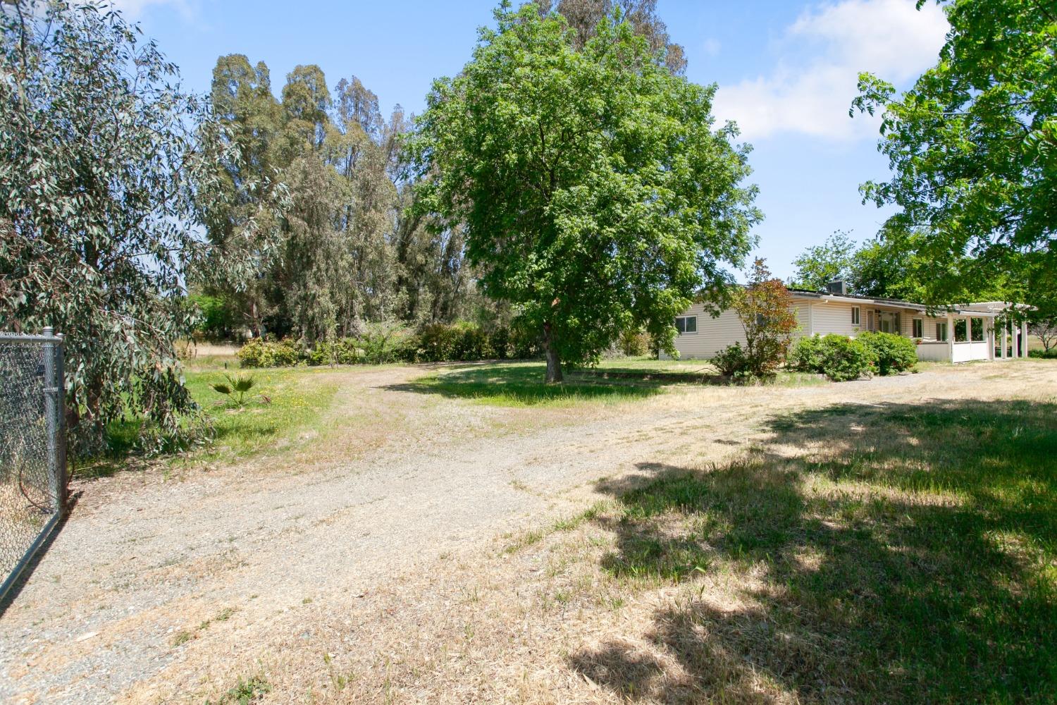 East Avenue, Corning, California image 27