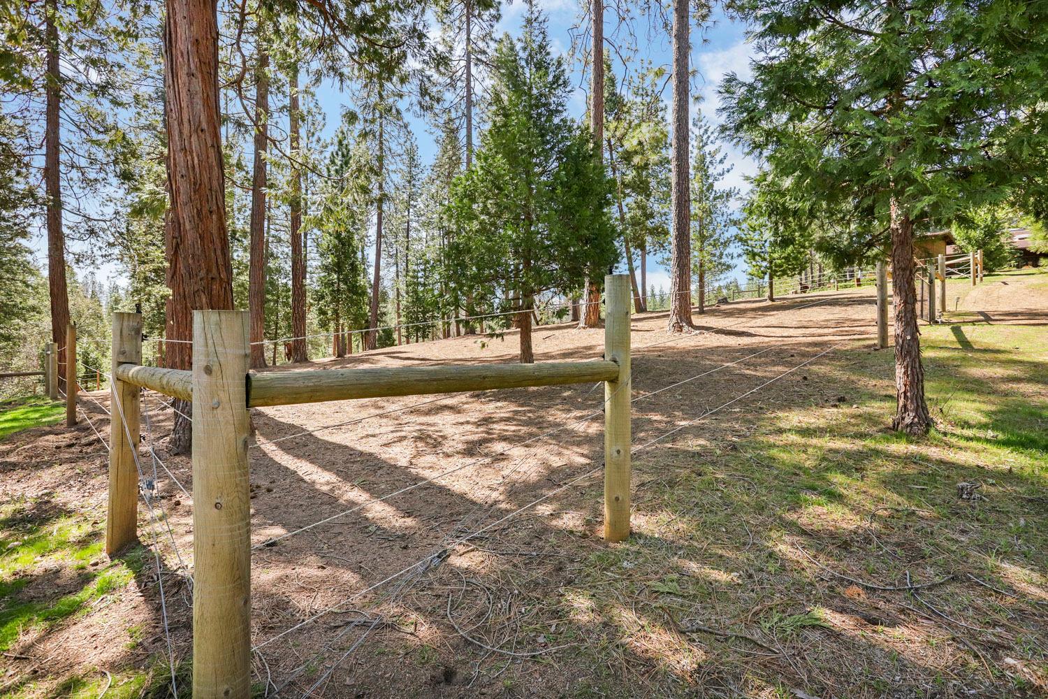 Detail Gallery Image 80 of 92 For 10415 Mcmahon Rd #10415,  Coulterville,  CA 95311 - 3 Beds | 4/1 Baths