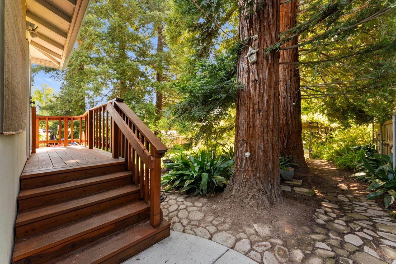 Detail Gallery Image 35 of 66 For 9512 Central Ave, Orangevale,  CA 95662 - 3 Beds | 2 Baths