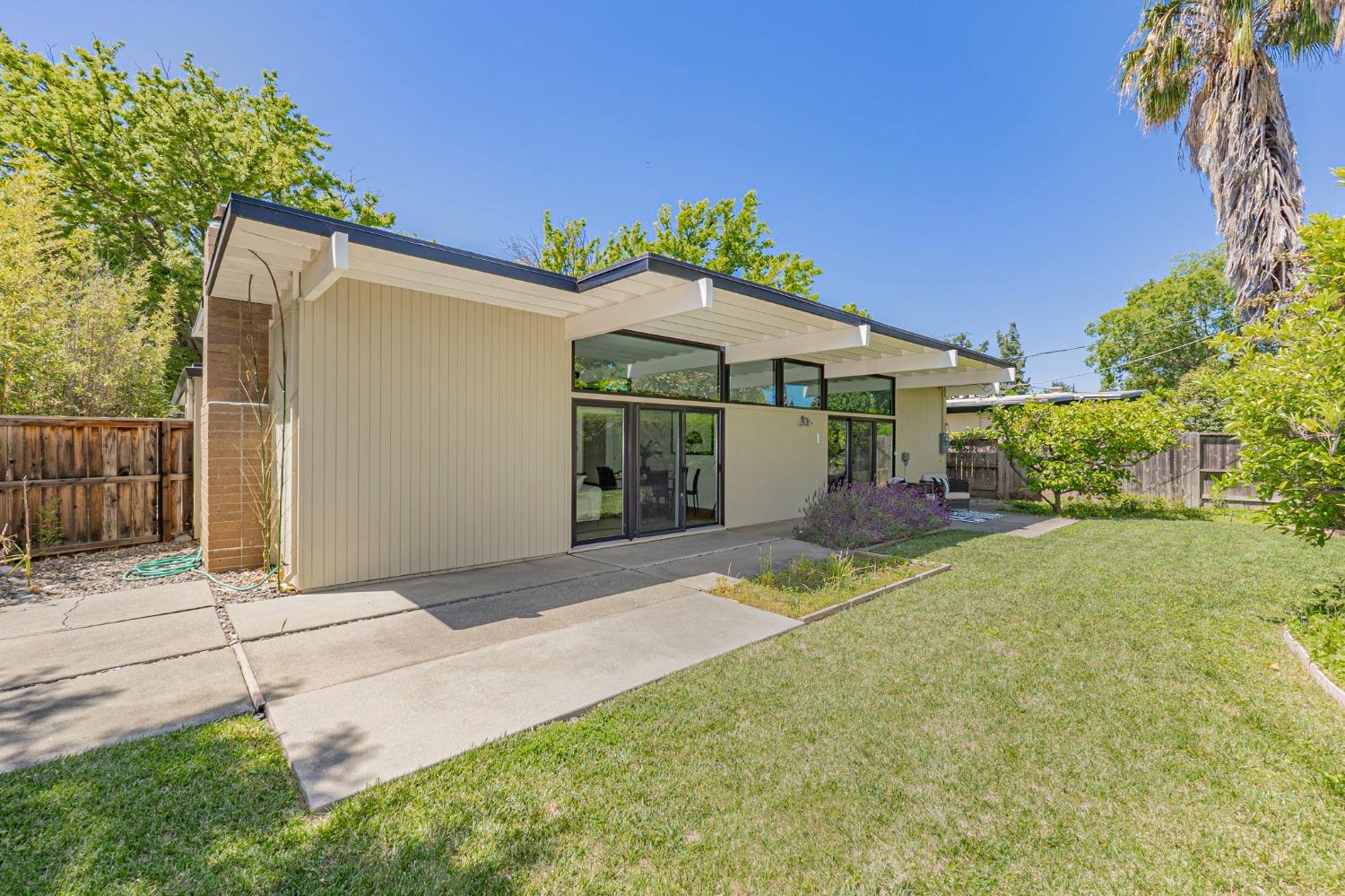 Pine Lane, Davis, California image 30