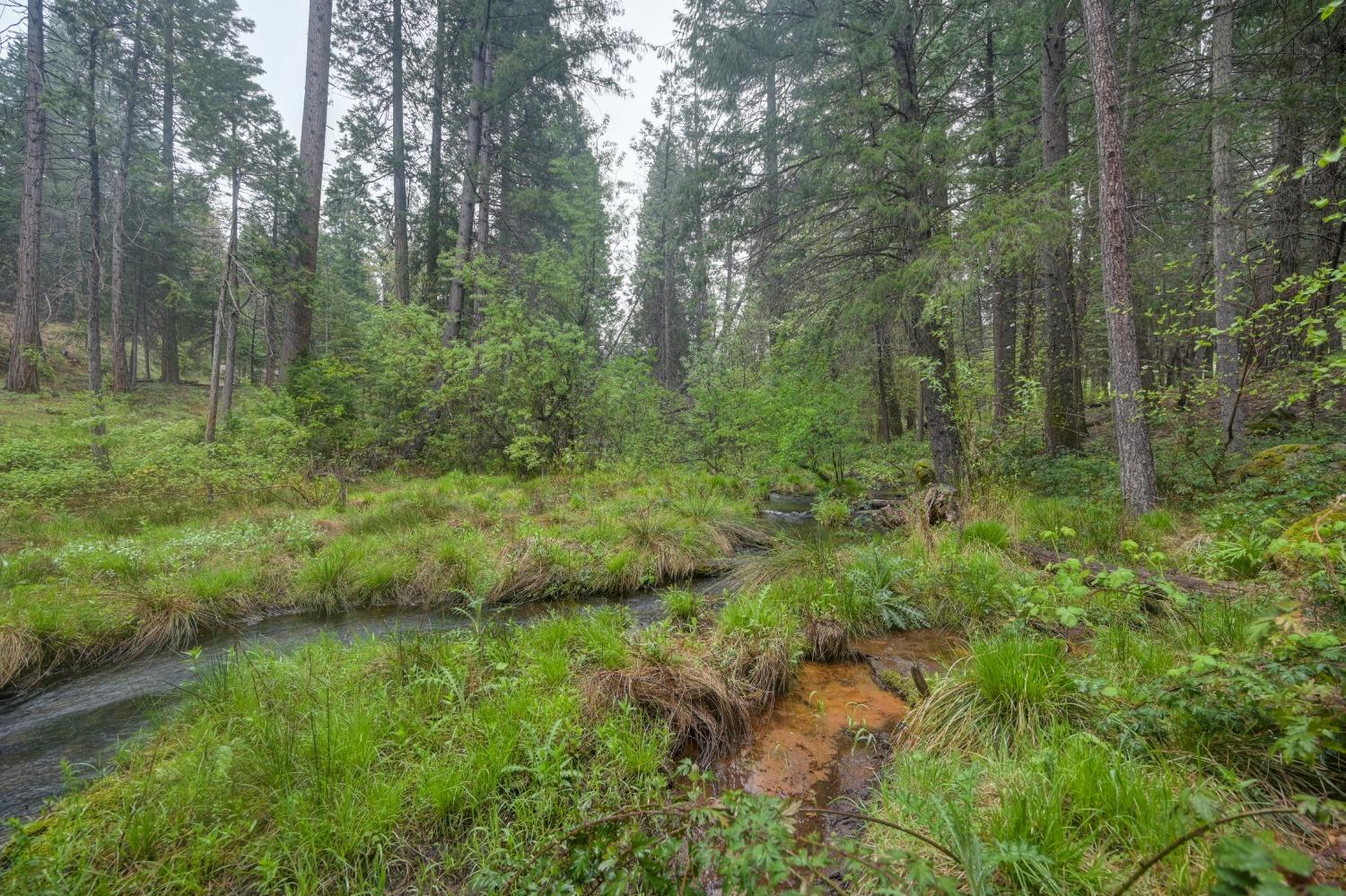 Sierra Springs Drive, Pollock Pines, California image 50