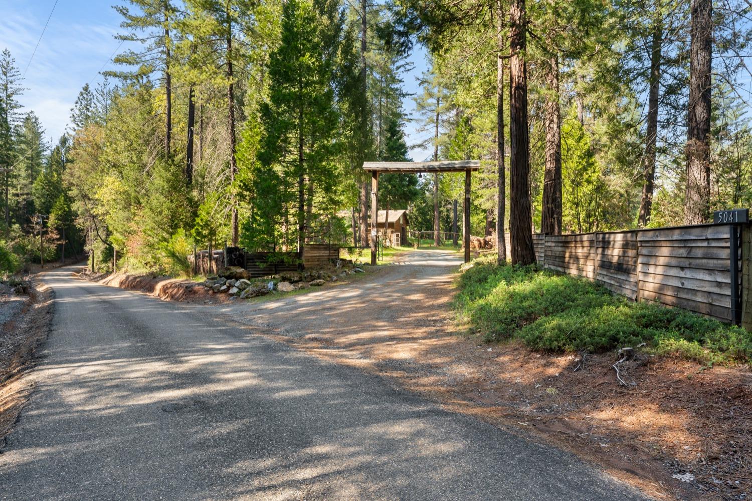 Bear Creek Road, Garden Valley, California image 9