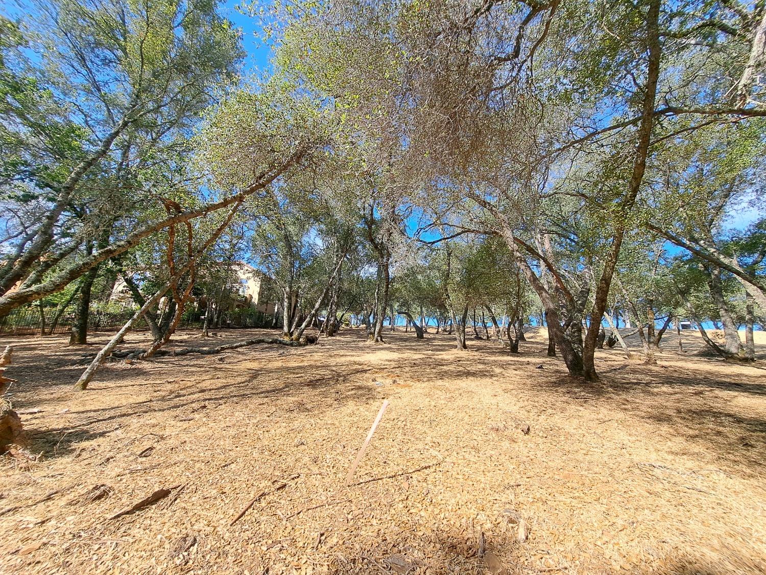 Aldea Drive, El Dorado Hills, California image 3