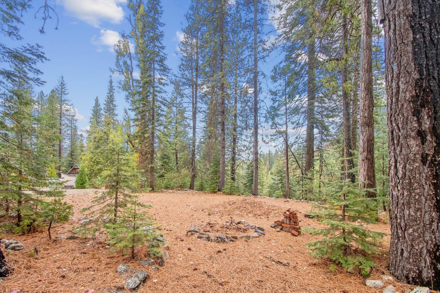 Warren Hill Road, Strawberry Valley, California image 6