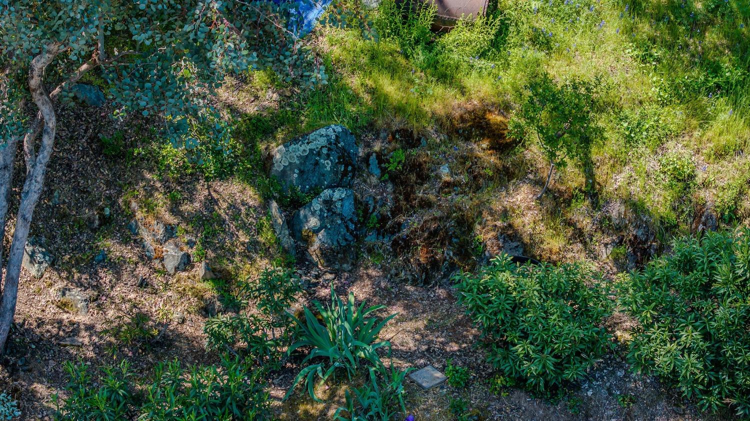 Detail Gallery Image 78 of 83 For 1356 Mark Twain Rd, Angels Camp,  CA 95222 - 3 Beds | 3 Baths