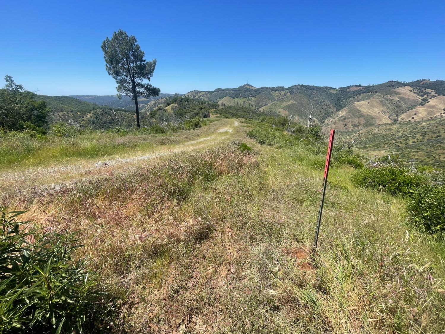 Montgomery Drive, Mokelumne Hill, California image 8