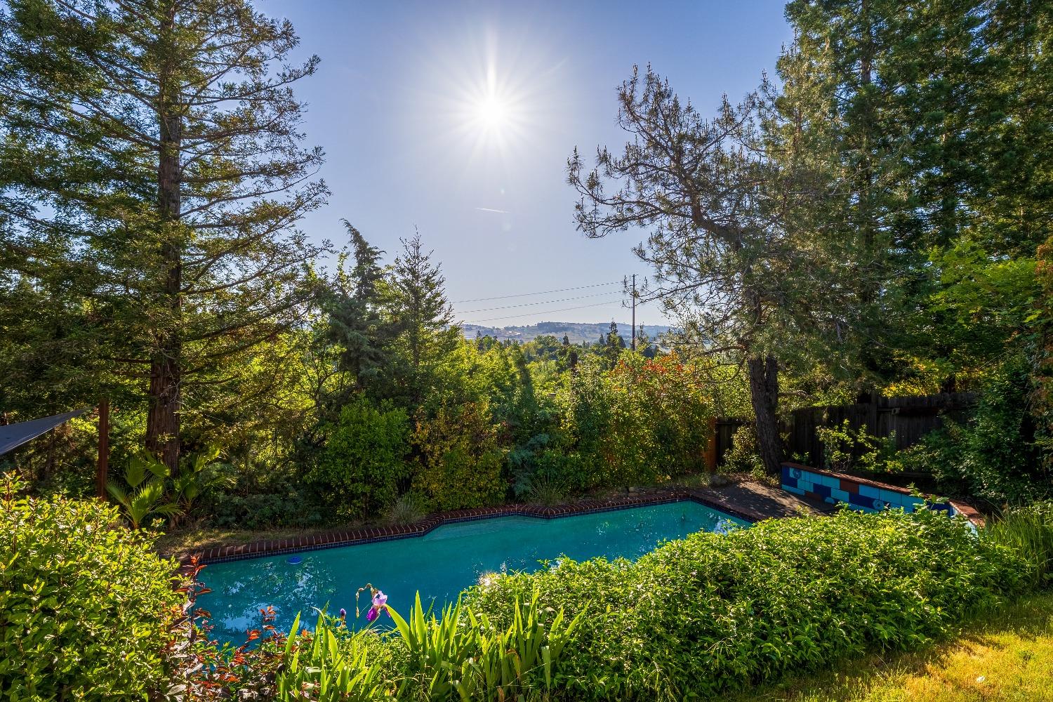 Platt Circle, El Dorado Hills, California image 5