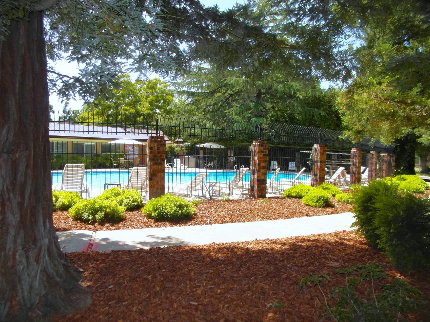 Photo #25: 225056119 Listing: Photo #25