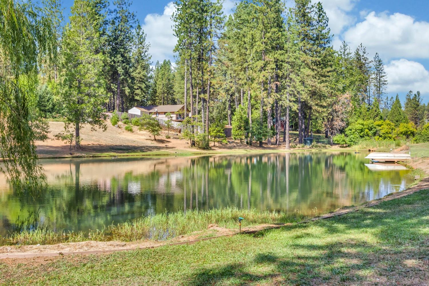 Detail Gallery Image 75 of 79 For 15135 Orchard Springs Rd, Grass Valley,  CA 95945 - 4 Beds | 4/1 Baths