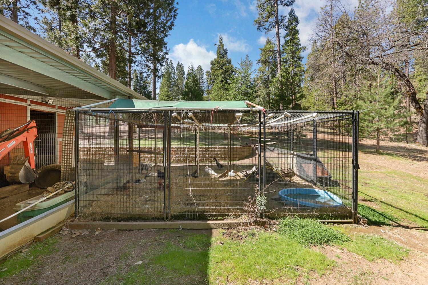 Detail Gallery Image 81 of 92 For 10415 Mcmahon Rd #10415,  Coulterville,  CA 95311 - 3 Beds | 4/1 Baths
