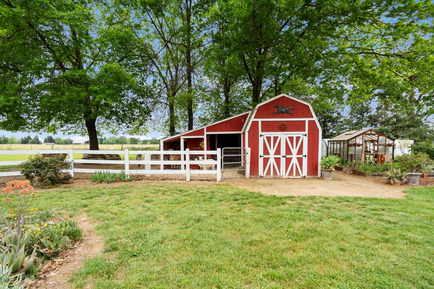 Detail Gallery Image 97 of 99 For 11516 Badger Valley Rd, Wilton,  CA 95693 - 4 Beds | 2/1 Baths