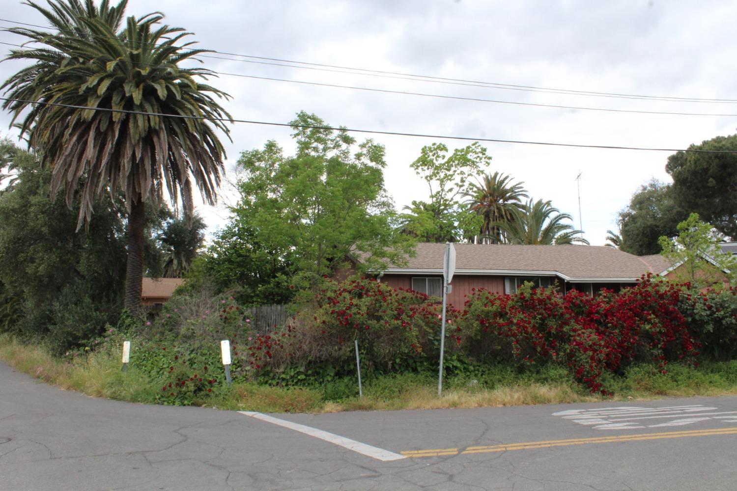 Verano Street, Sacramento, California image 9