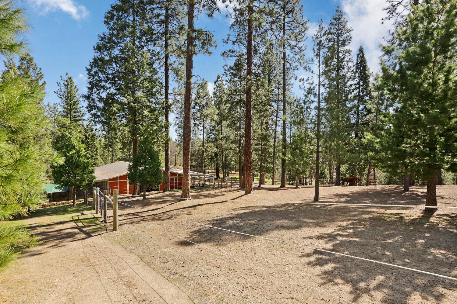 Detail Gallery Image 84 of 92 For 10415 Mcmahon Rd #10415,  Coulterville,  CA 95311 - 3 Beds | 4/1 Baths