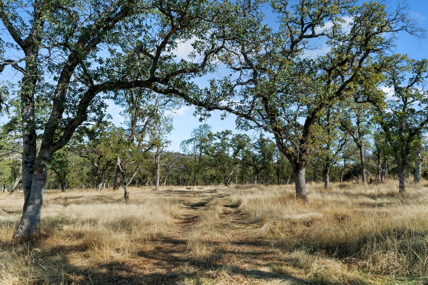 Hammonton Bluff Parcel 8, Smartsville, California image 5