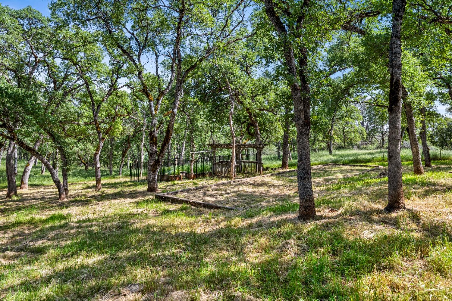Burnt Oak Drive, Placerville, California image 36