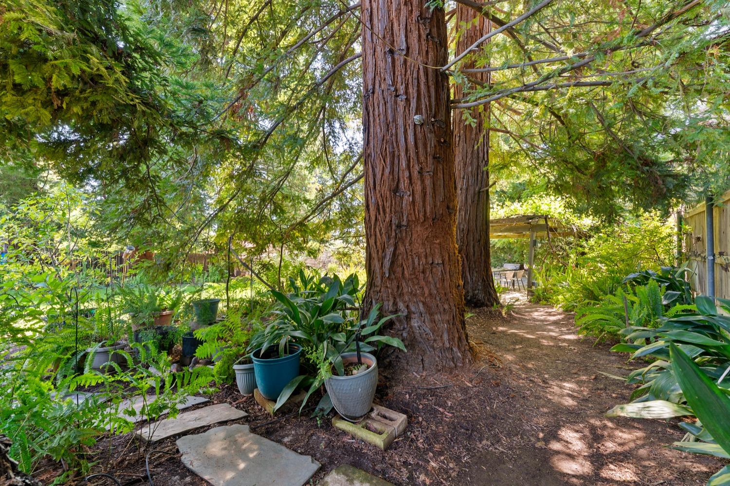 Detail Gallery Image 36 of 66 For 9512 Central Ave, Orangevale,  CA 95662 - 3 Beds | 2 Baths