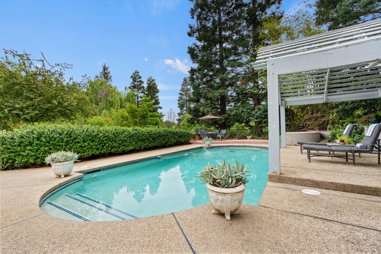 Detail Gallery Image 91 of 99 For 11516 Badger Valley Rd, Wilton,  CA 95693 - 4 Beds | 2/1 Baths
