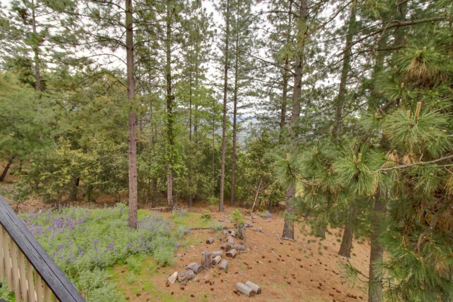 Hilltop Court, Pine Grove, California image 33