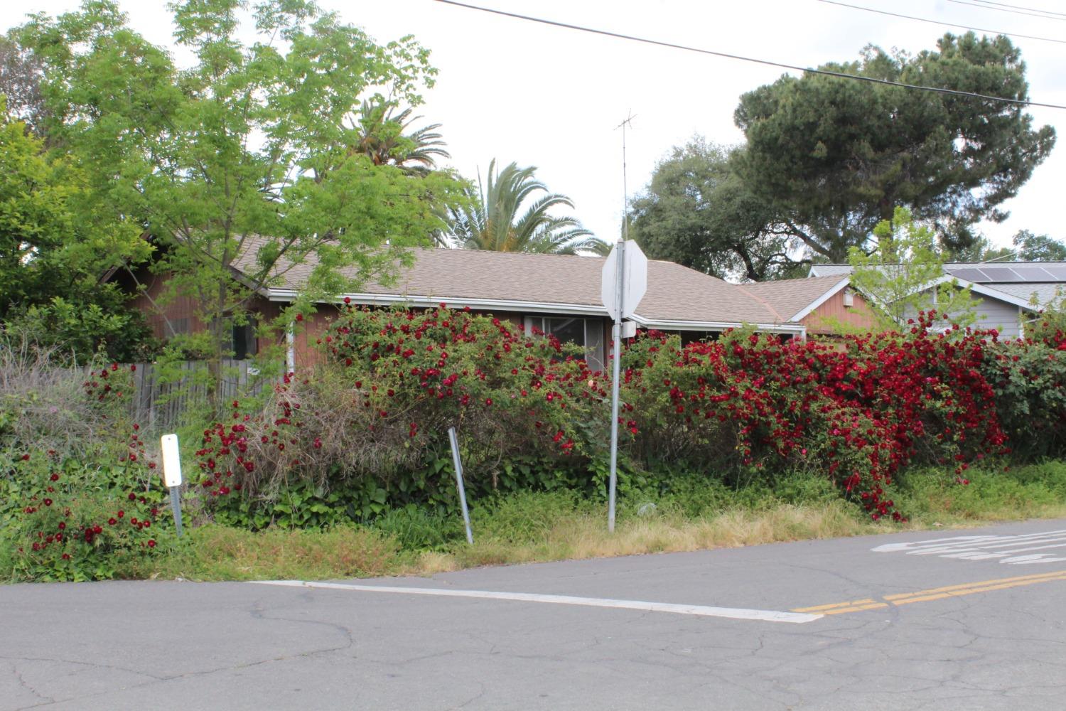 Verano Street, Sacramento, California image 8
