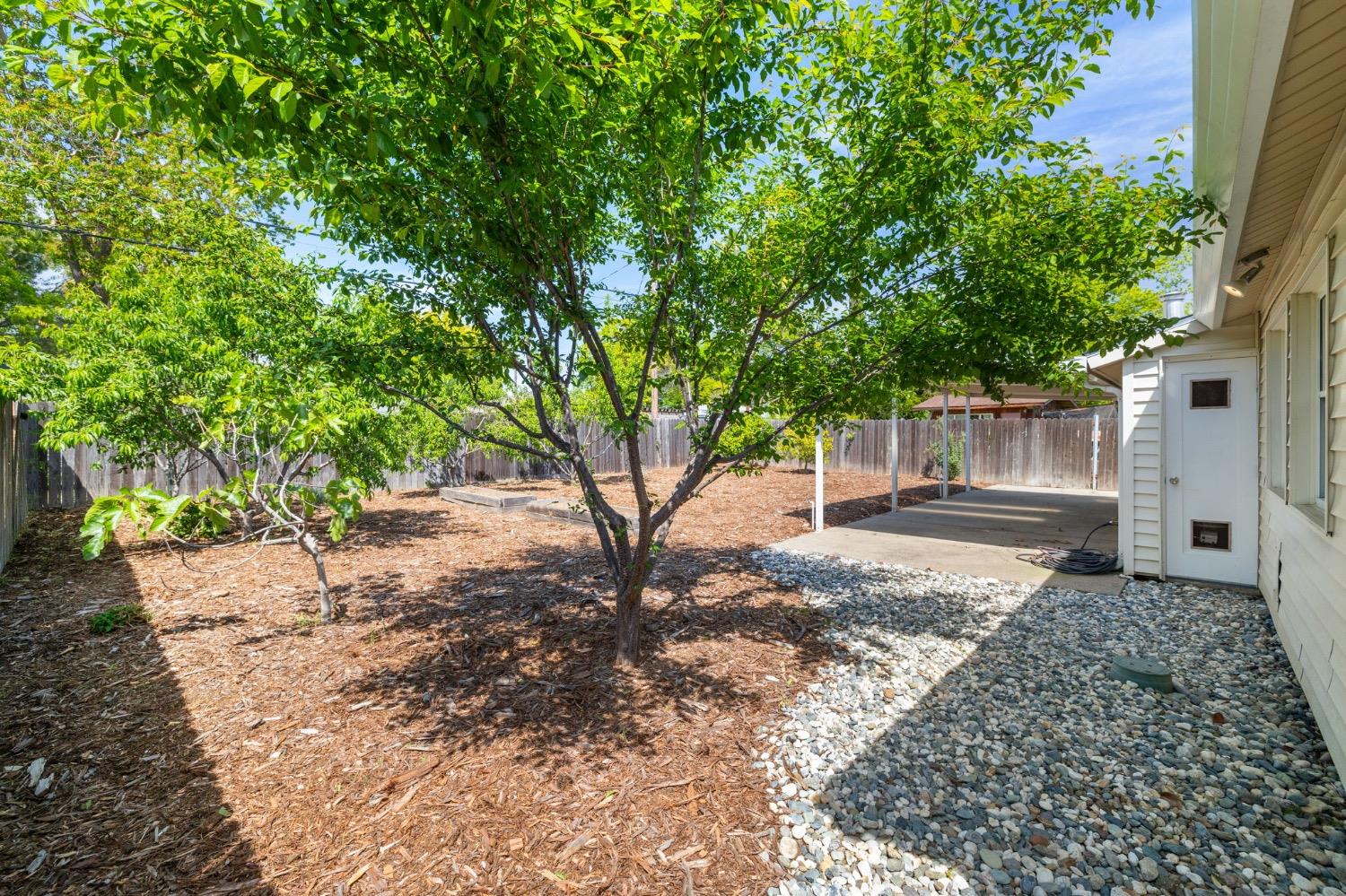 Windsor Drive, Sacramento, California image 35