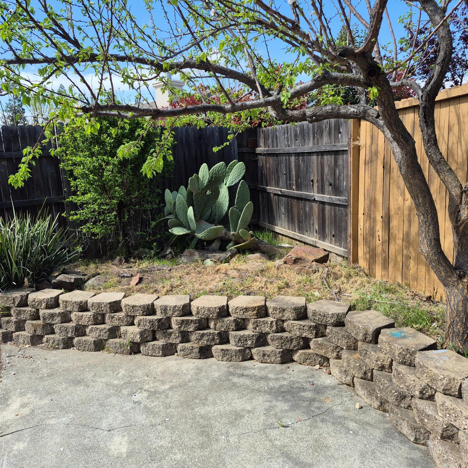 Basie Way, Rancho Cordova, California image 45