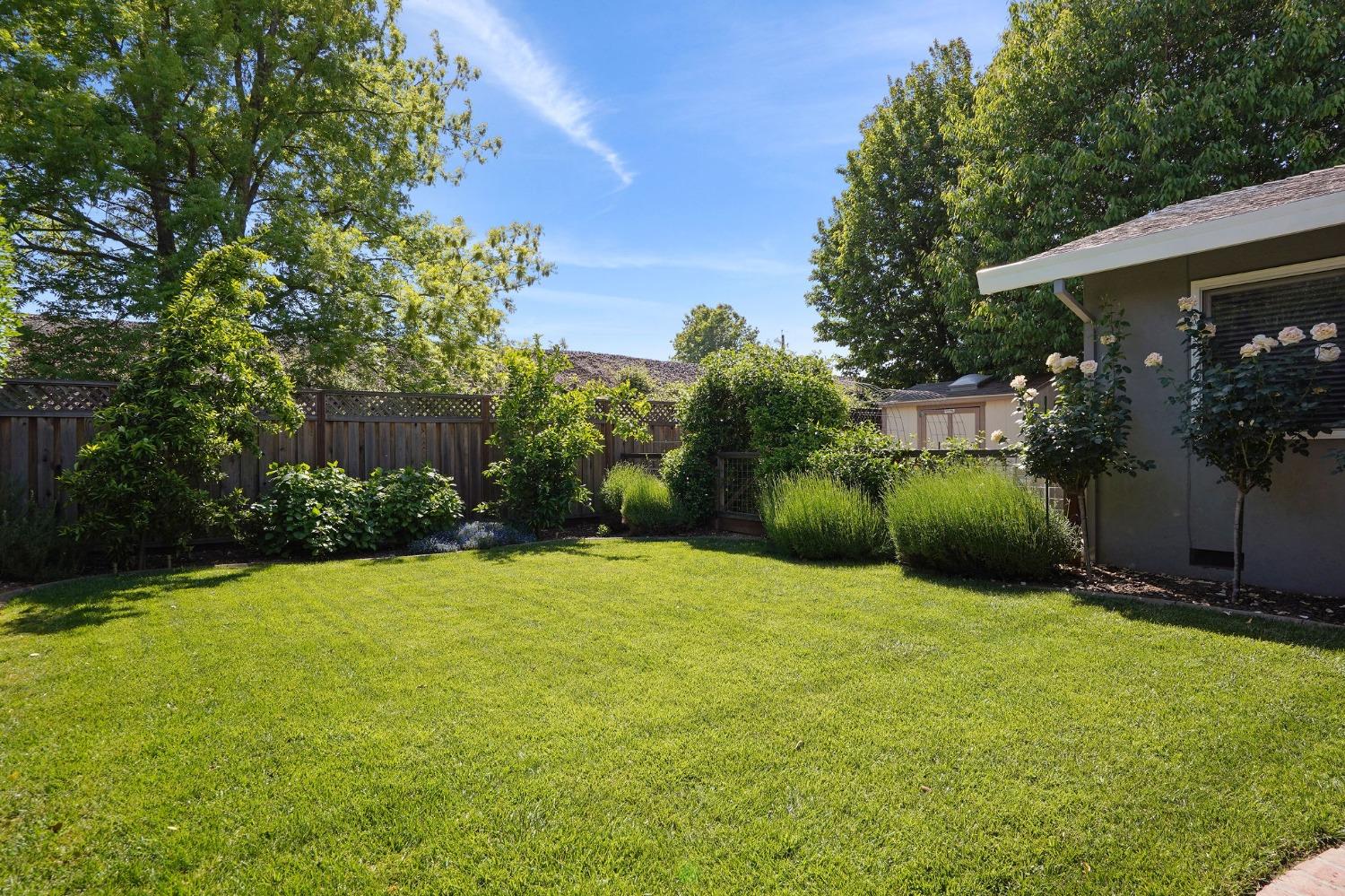 Breuner Avenue, Sacramento, California image 29