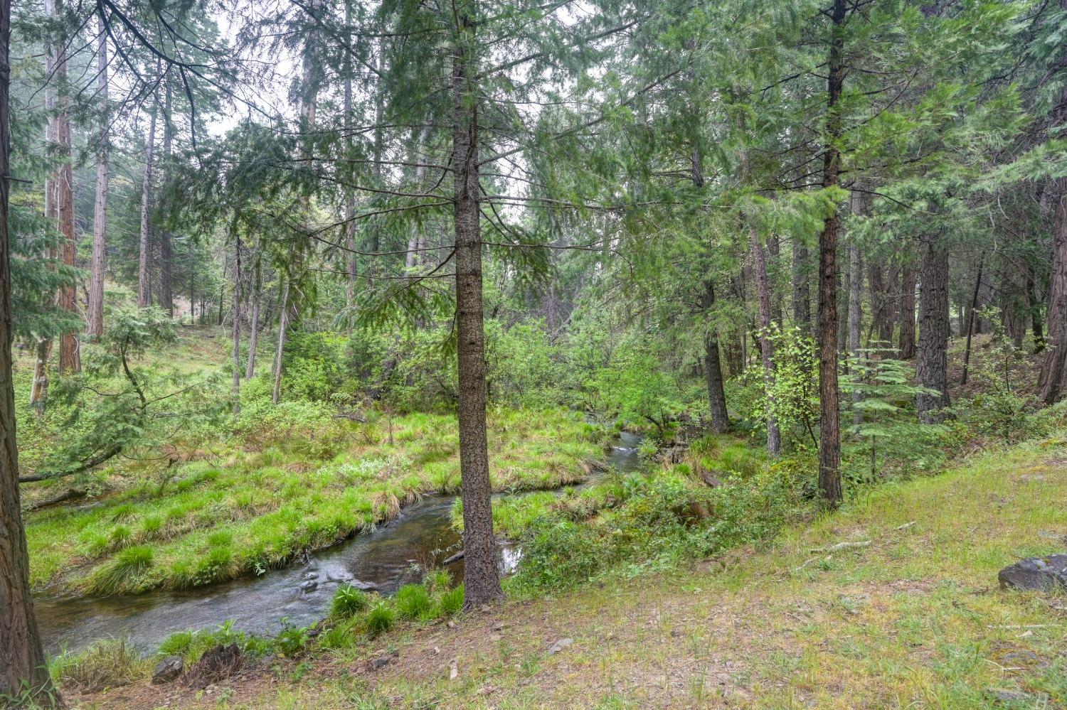 Sierra Springs Drive, Pollock Pines, California image 47