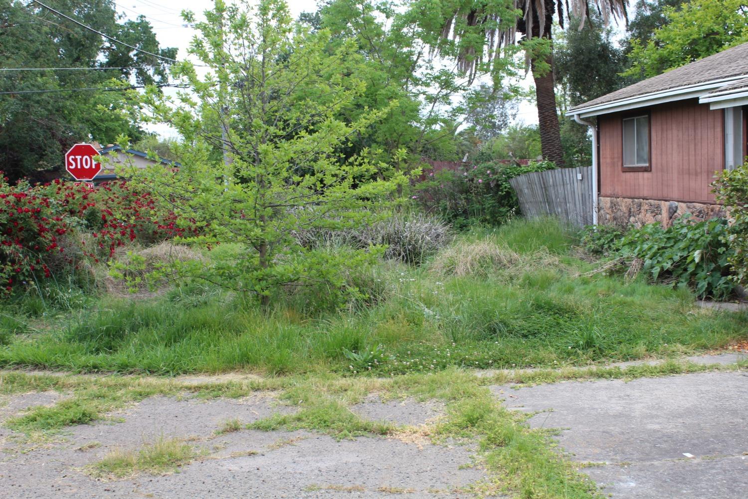 Verano Street, Sacramento, California image 7