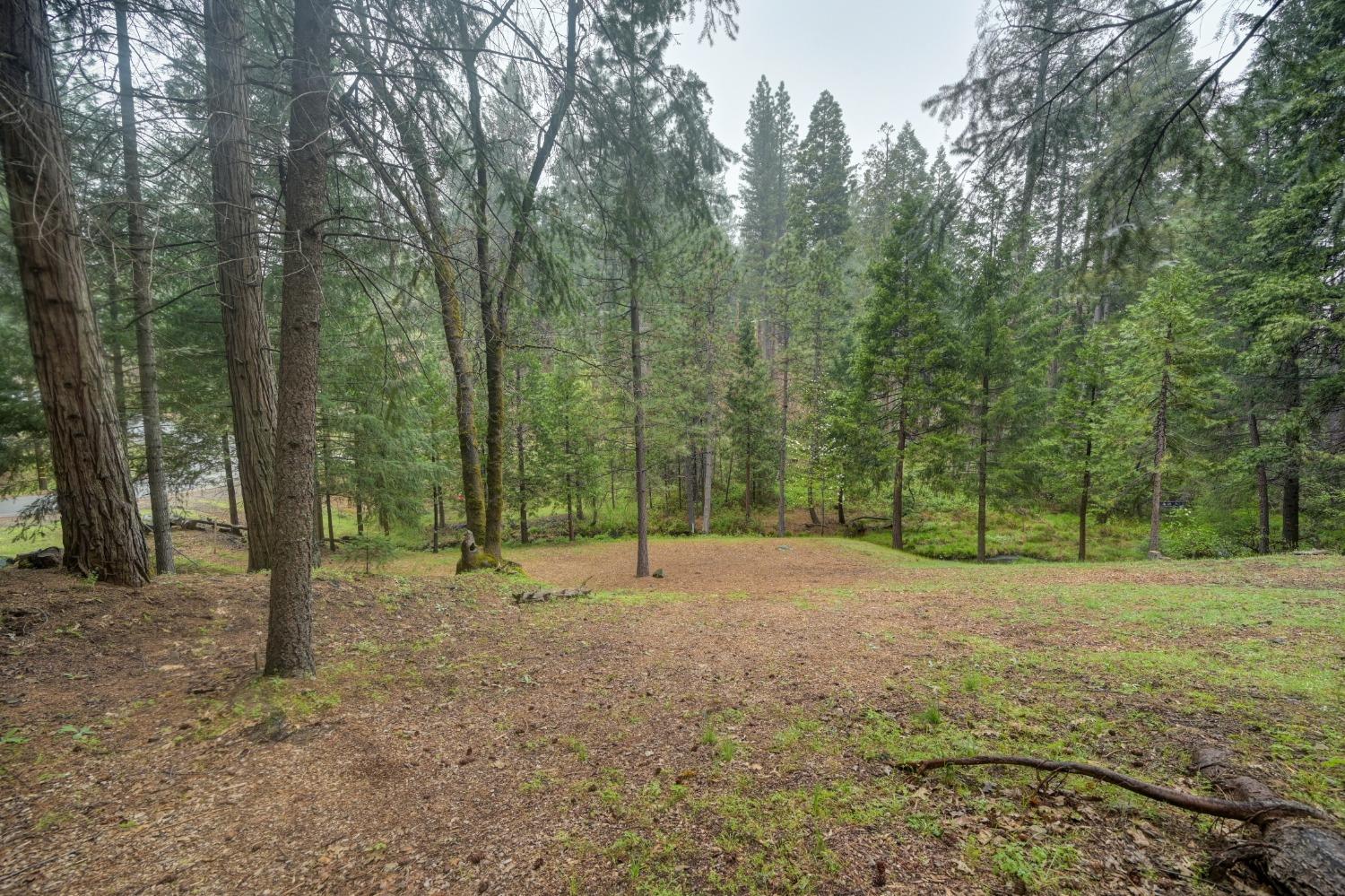 Sierra Springs Drive, Pollock Pines, California image 43