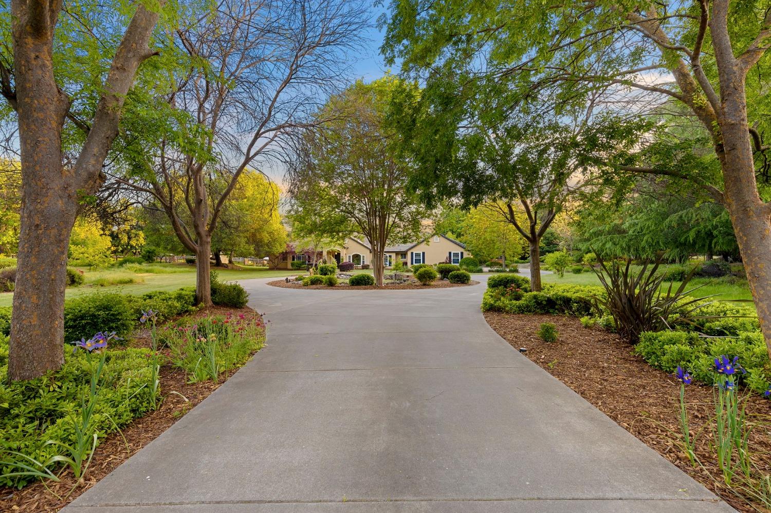9445 BRIDGE CREEK LANE, NEWCASTLE, CA 95658 