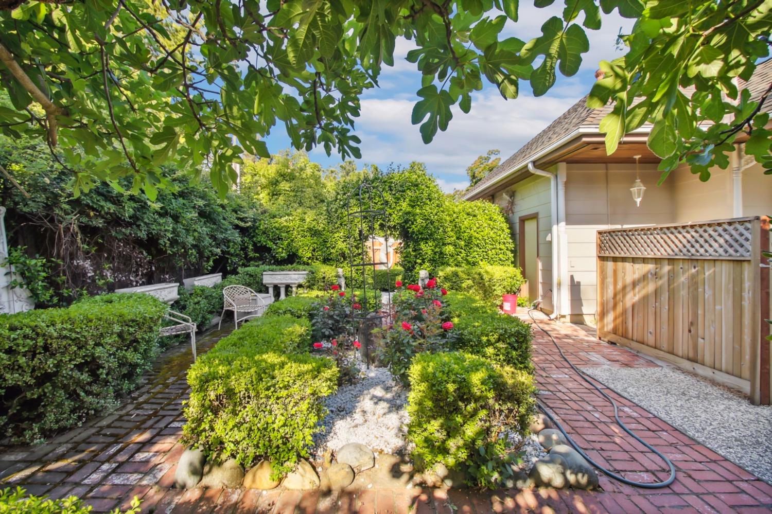 Pendrgast Street, Woodland, California image 47