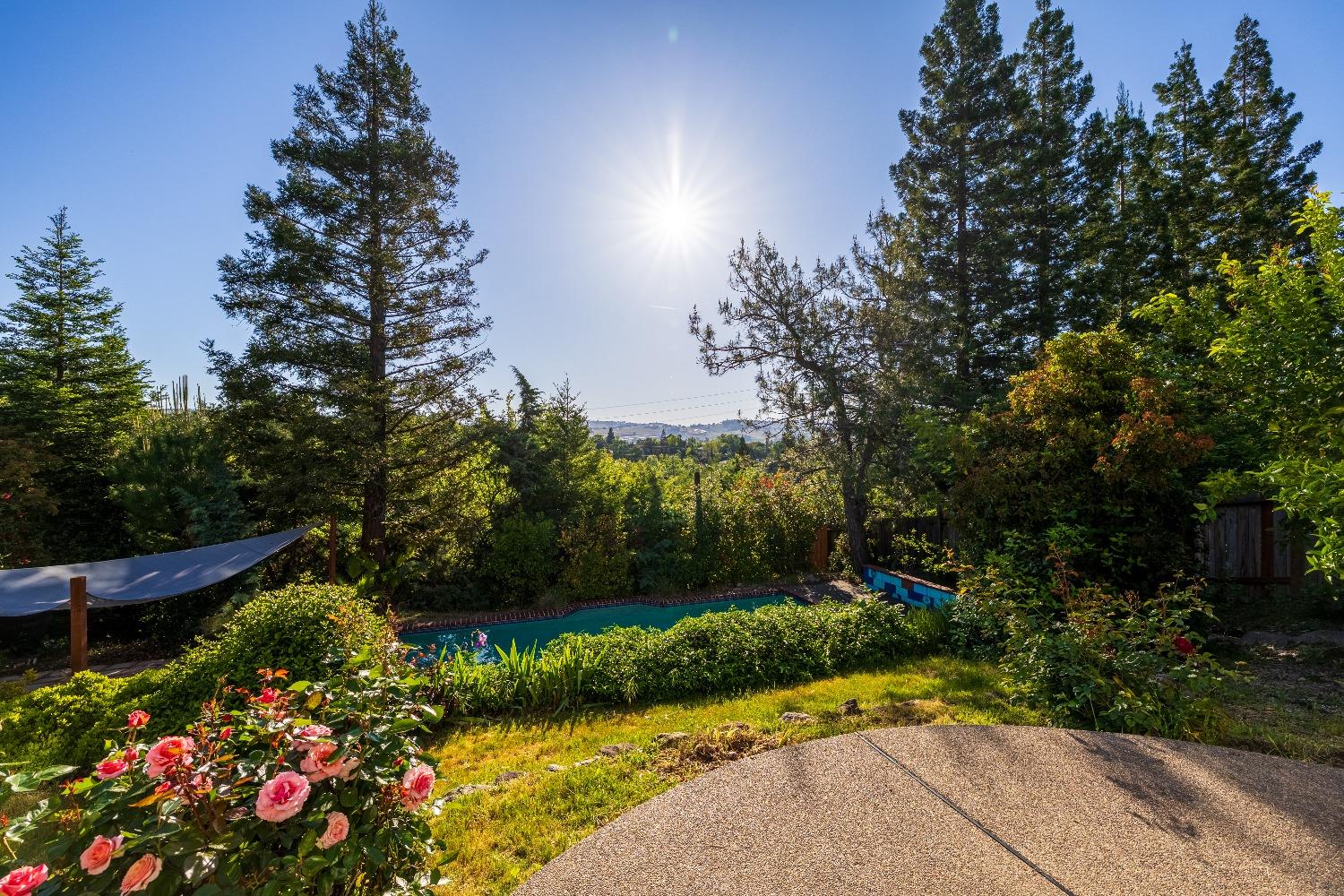 Platt Circle, El Dorado Hills, California image 4