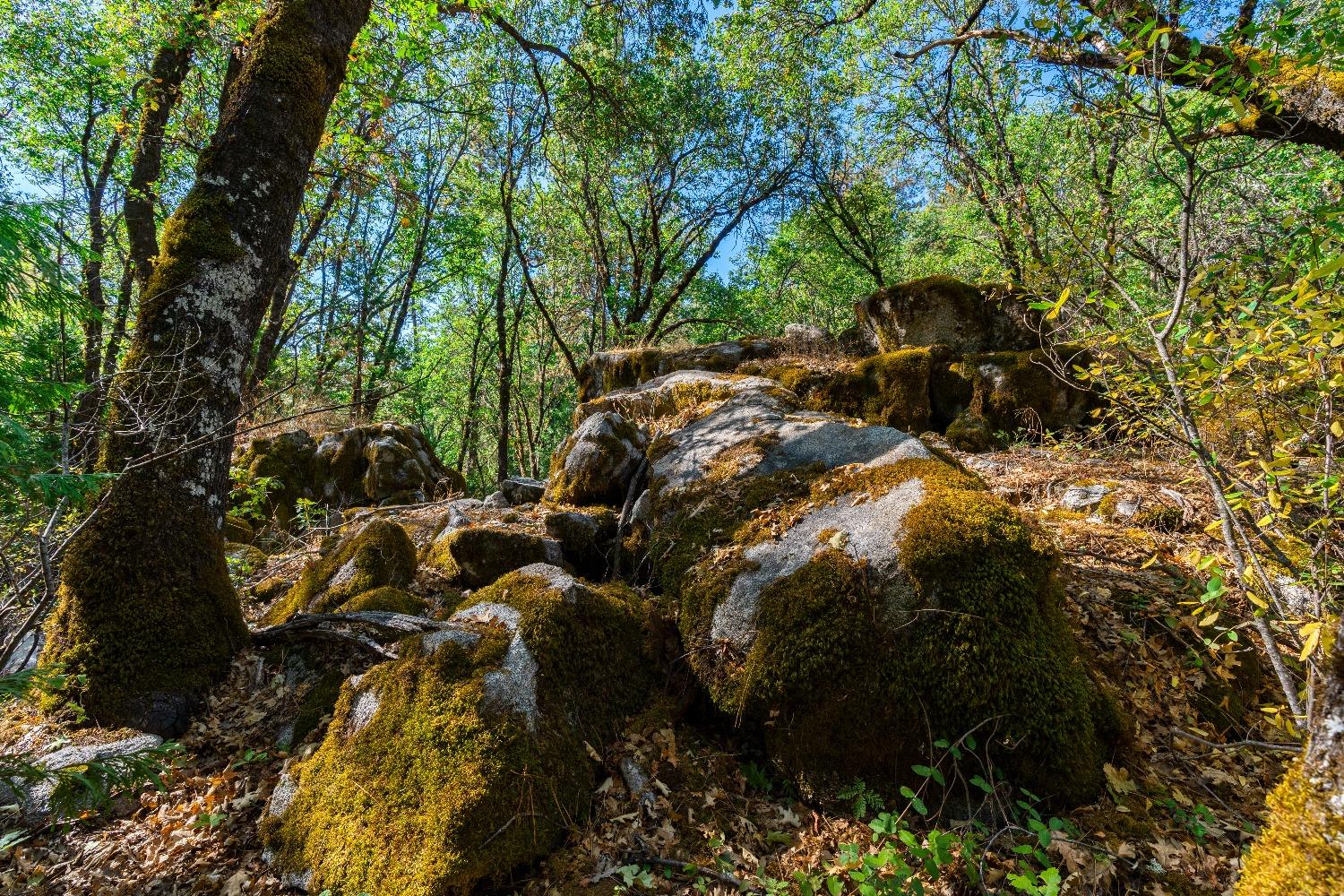 Kuntz Court, Nevada City, California image 36