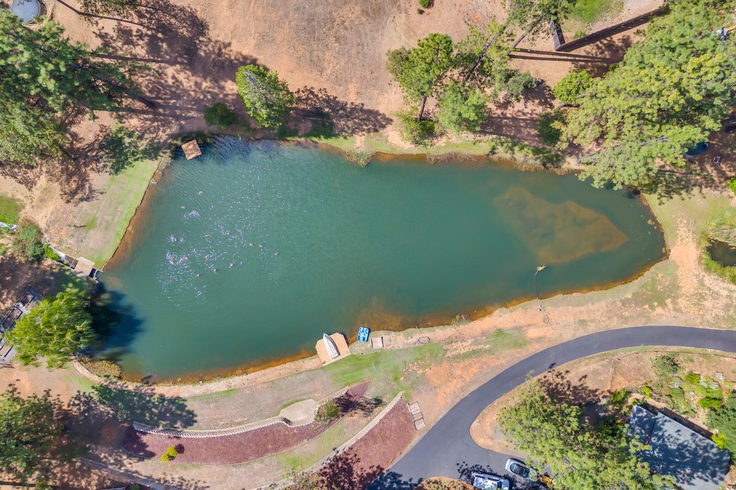 Detail Gallery Image 78 of 79 For 15135 Orchard Springs Rd, Grass Valley,  CA 95945 - 4 Beds | 4/1 Baths
