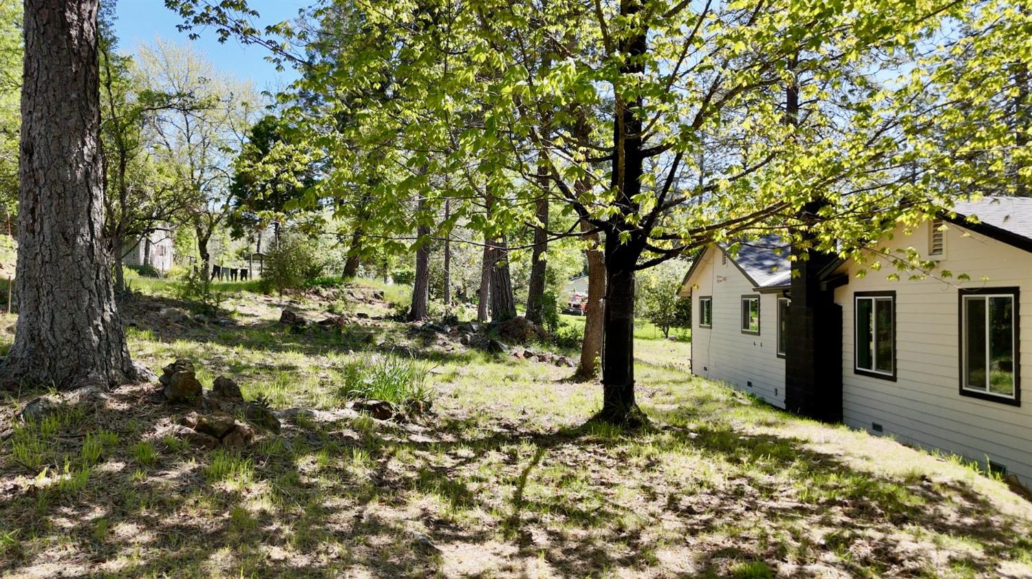 Newtown Road, Nevada City, California image 42