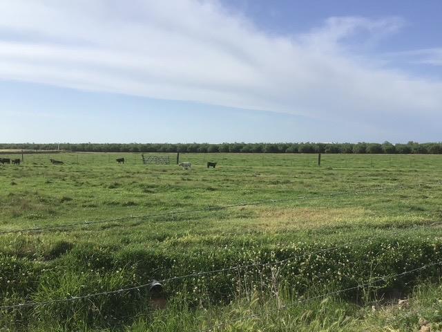 E Kemper Road, Oakdale, California image 9