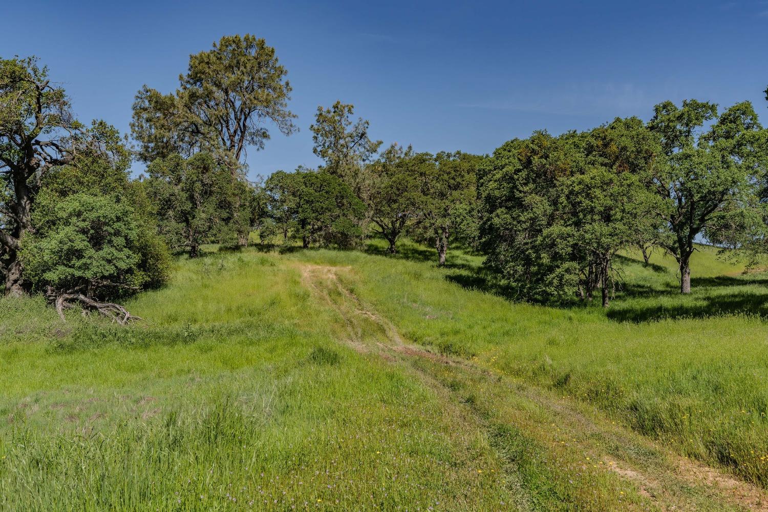 Sunset Drive, Sutter Creek, California image 4