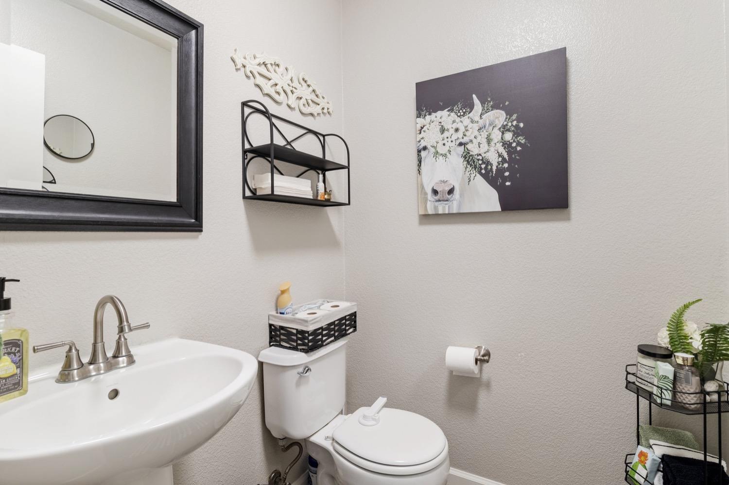 Detail Gallery Image 27 of 37 For 517 Lasso Ct, Oakdale,  CA 95361 - 5 Beds | 2/1 Baths