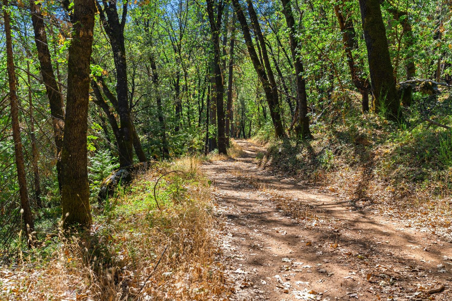 Kuntz Court, Nevada City, California image 30
